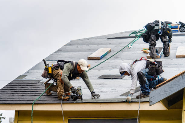 Professional Storm Damage Roof Repair technician working in Dupont, CO